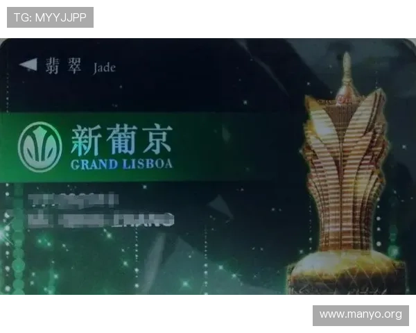 澳门新葡京app支持多种支付方式确保资金安全快速存取满足不同玩家的需求