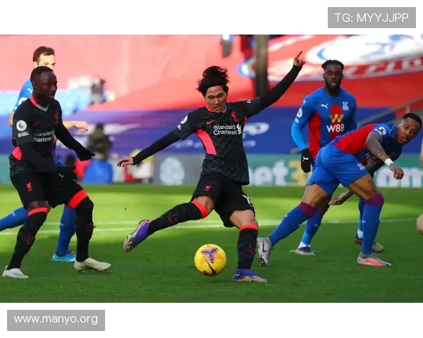 水晶宫足球队队员官网展示的球员荣誉奖项与职业成就一览