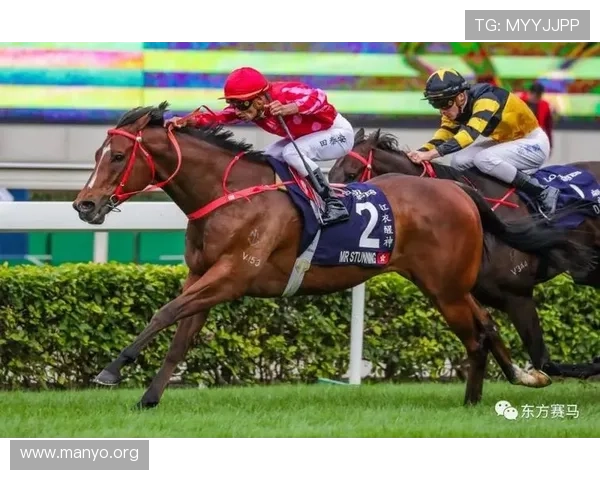 hkjc体育：香港赛马会体育平台的优势与特色，提升用户体验的实用建议
